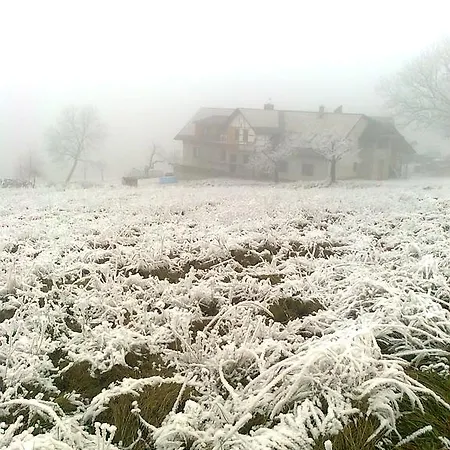 Kuřátko