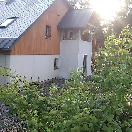 Kuratko