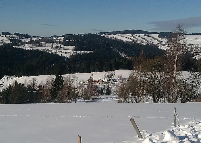 Kuřátko Benecko