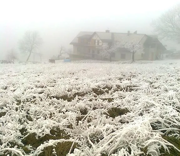 Kuřátko