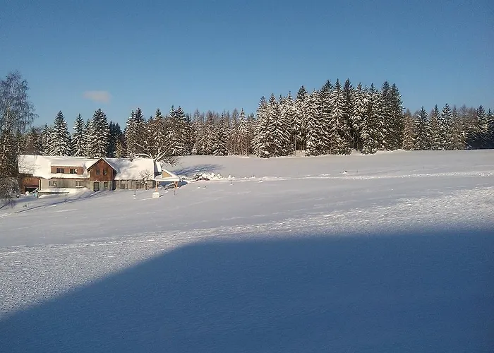 Kuřátko