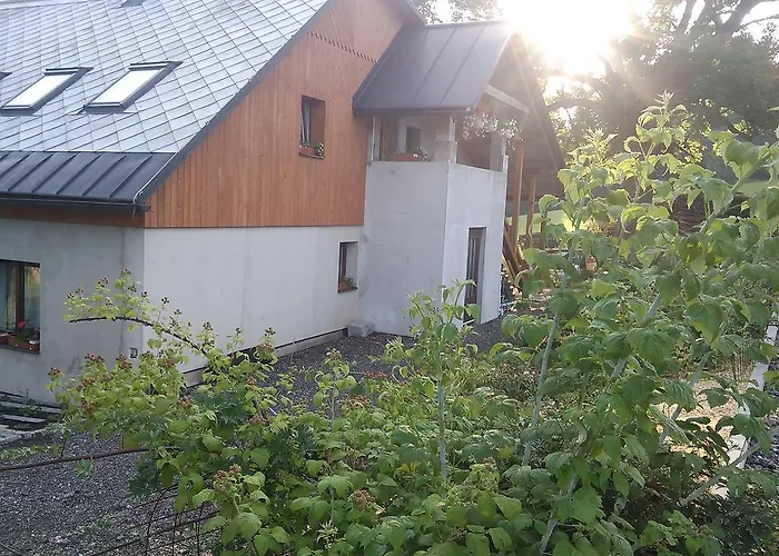 Kuřátko