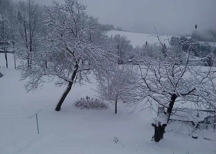 Kuřátko Apartman